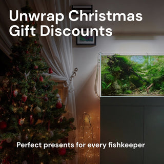Christmas Sale