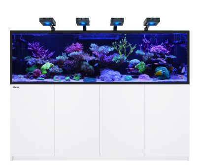 Red Sea Reefer G3 S Concept