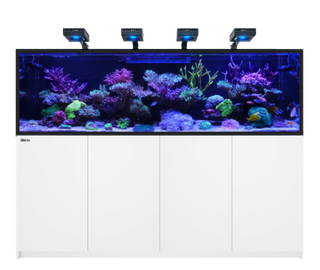 Red Sea Reefer G3 S Concept