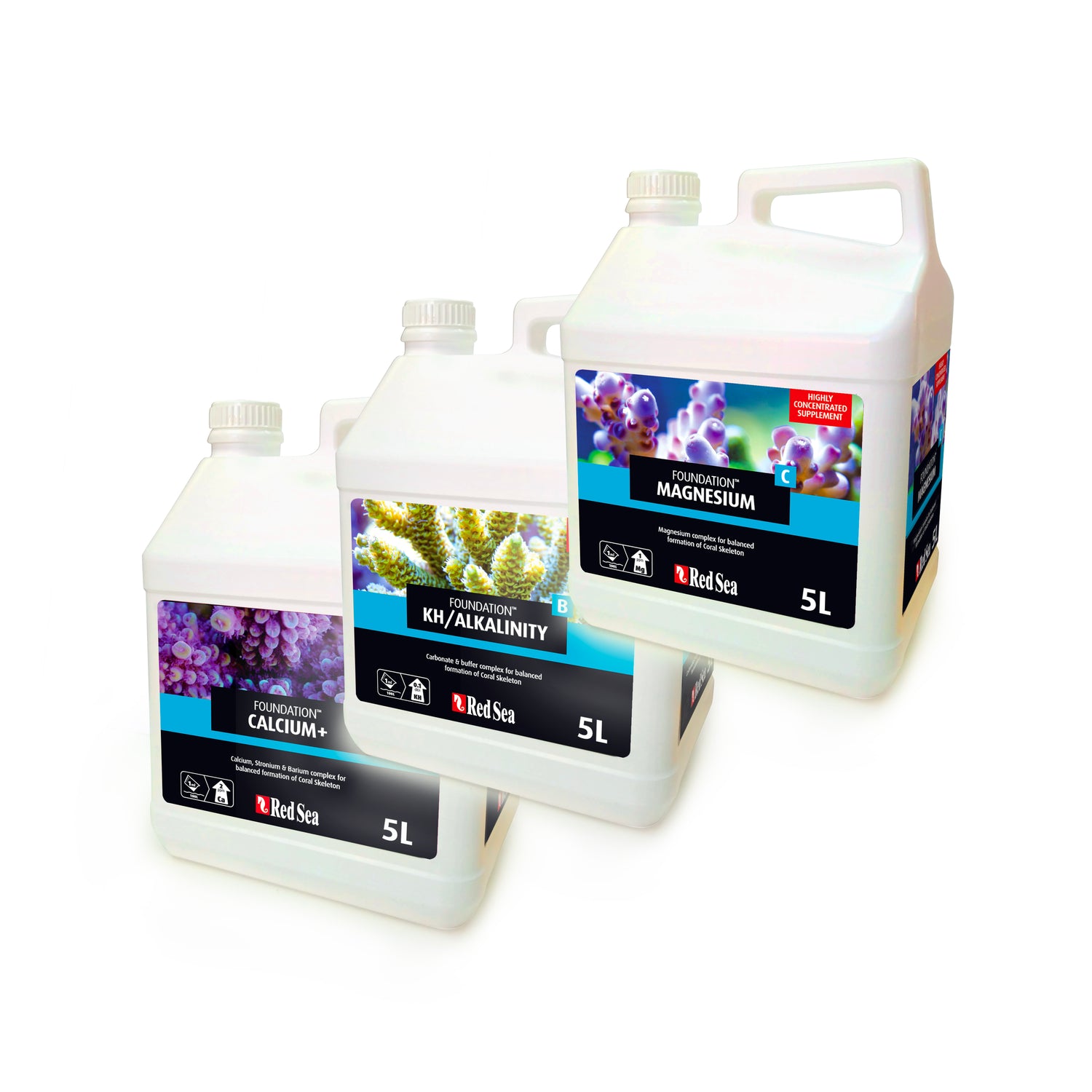 Red Sea Reef Foundation