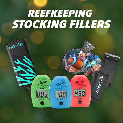 Stocking Fillers