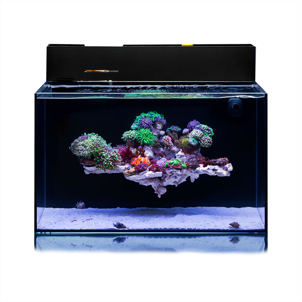 UNS Dual All-In-One Aquariums