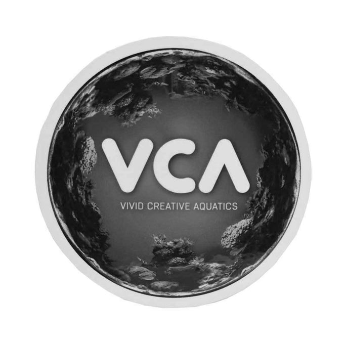 Vivid Creative Aquatics