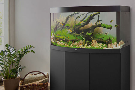 Freshwater Complete Setups