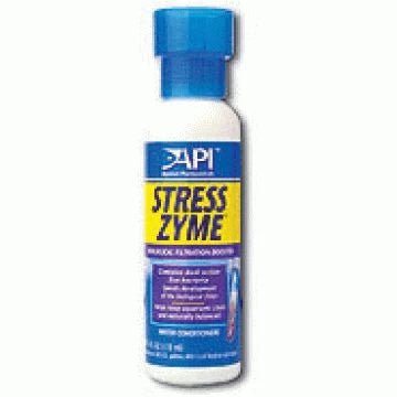 API - Charterhouse Aquatics