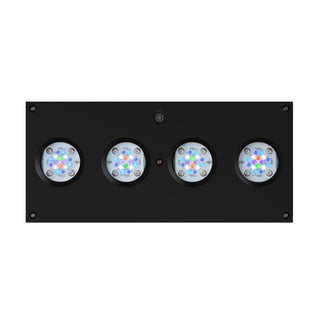 Aqua Illumination - Charterhouse Aquatics