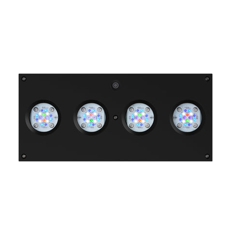 Aqua Illumination - Charterhouse Aquatics