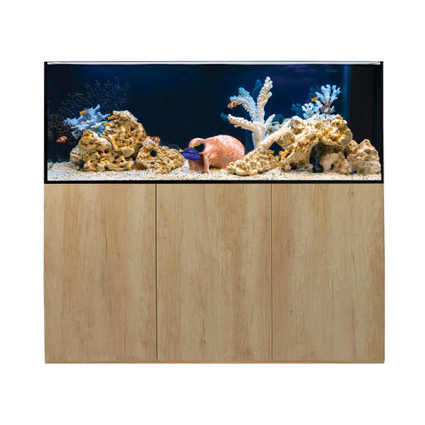 Aqua One - Charterhouse Aquatics