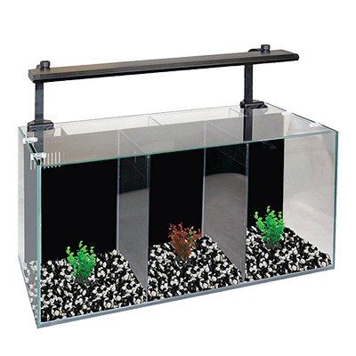 Aqua One Betta Trio - Charterhouse Aquatics