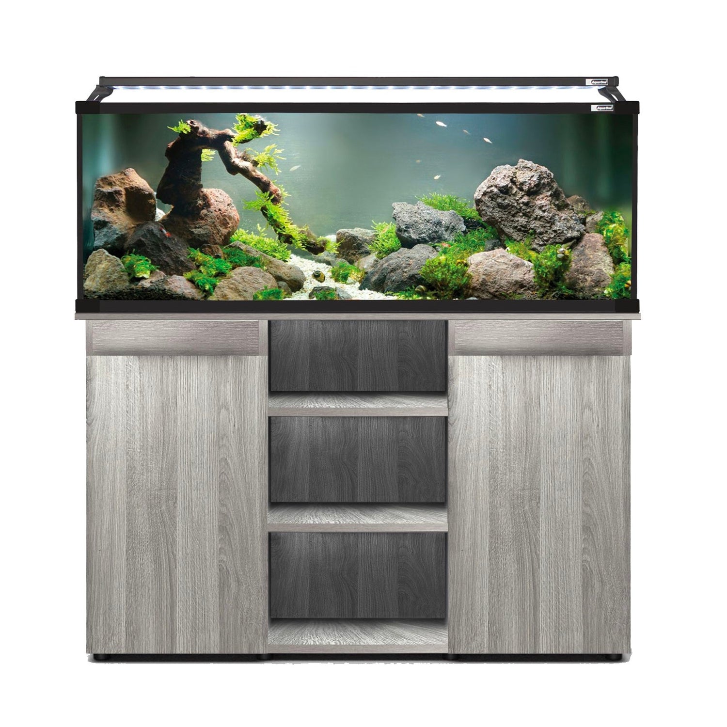 Aqua One Horizon - Charterhouse Aquatics