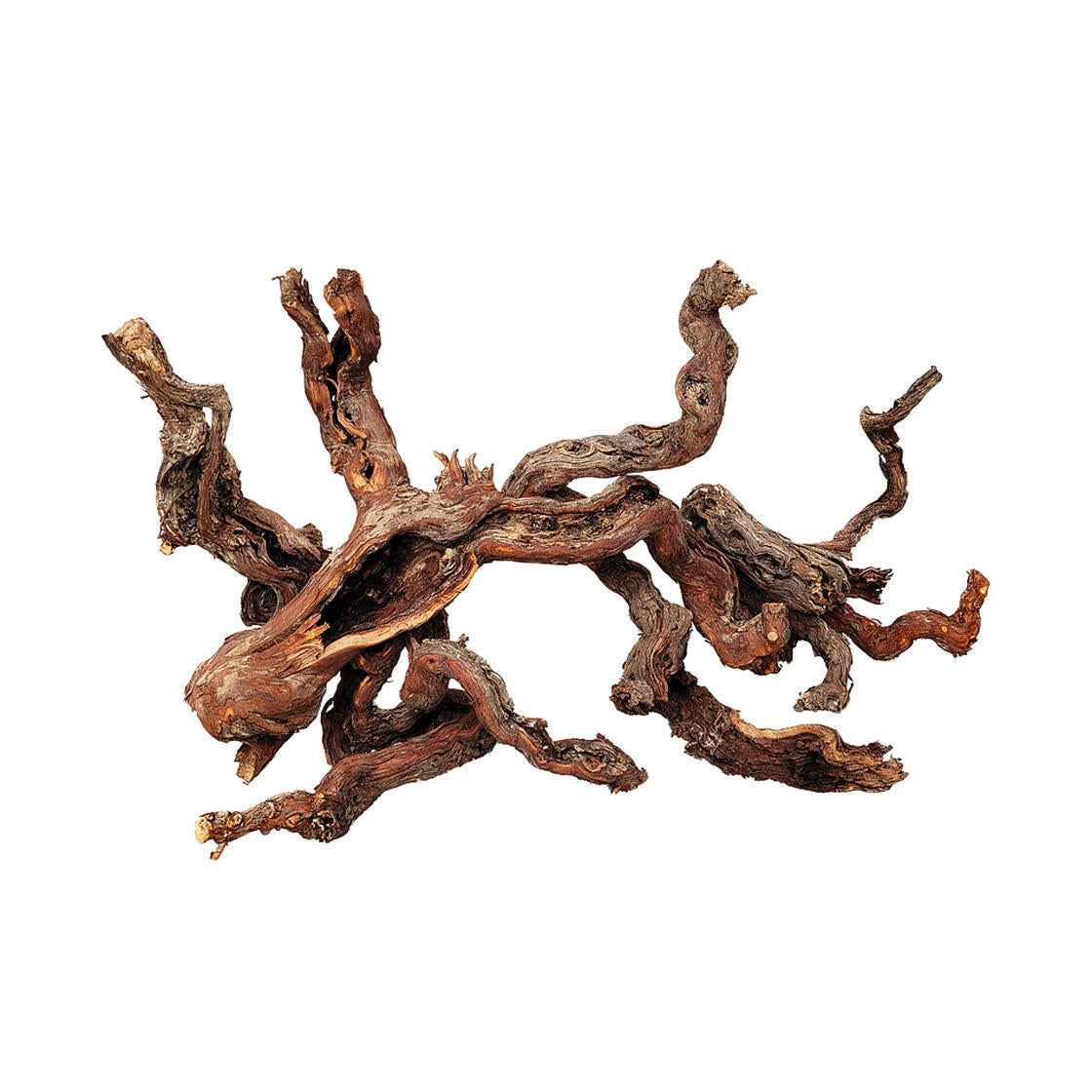 Aquascaping Wood - Charterhouse Aquatics