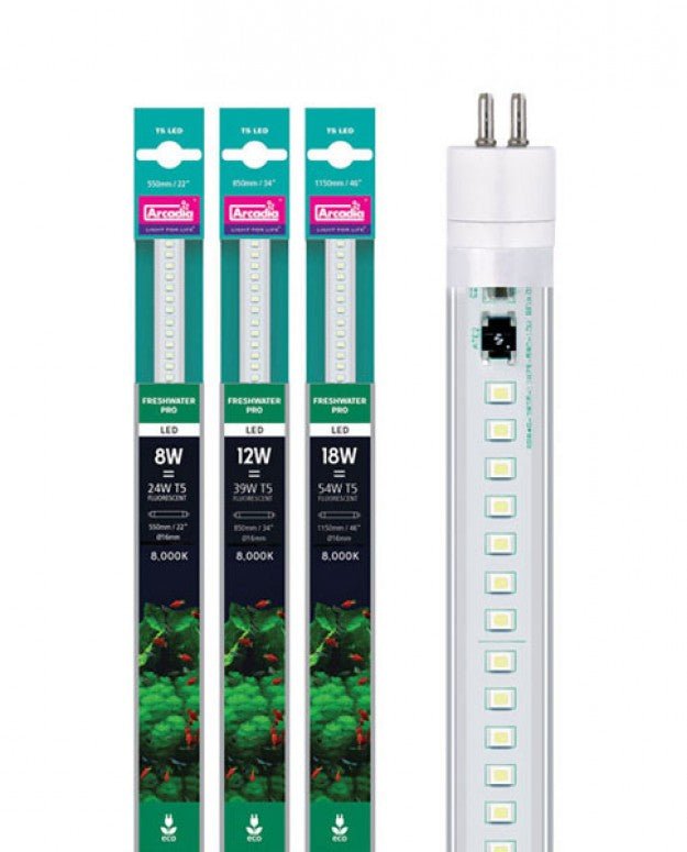 Arcadia Lighting - Charterhouse Aquatics