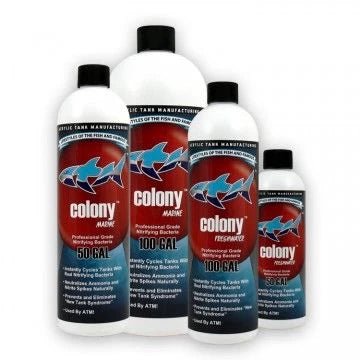 ATM - Charterhouse Aquatics