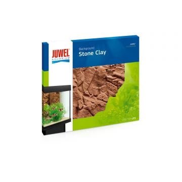 Backgrounds - Charterhouse Aquatics