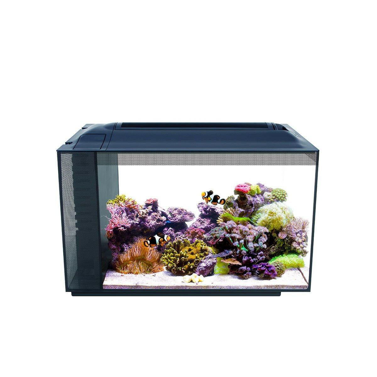 Beginner Aquariums - Charterhouse Aquatics