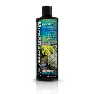 Brightwell - Charterhouse Aquatics