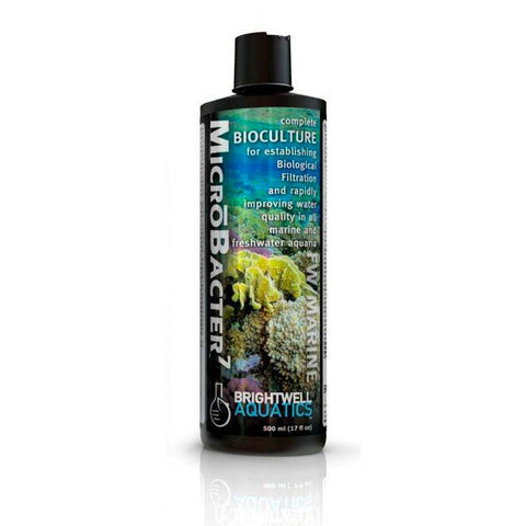 Brightwell - Charterhouse Aquatics