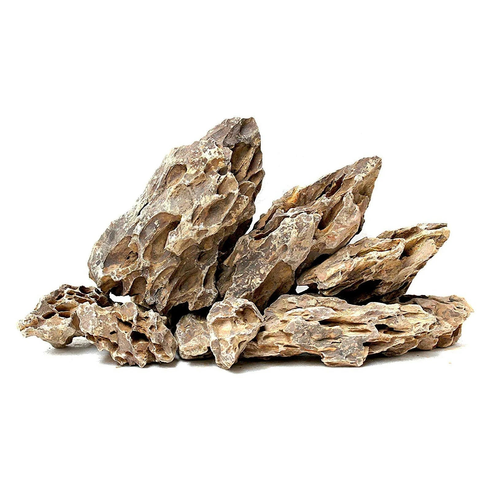 Intiibiotic Rocks Bioactive Rock | Natural Aquarium Rock Deocoration – Charterhouse Aquatics