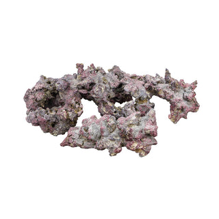 Caribsea Rock - Charterhouse Aquatics