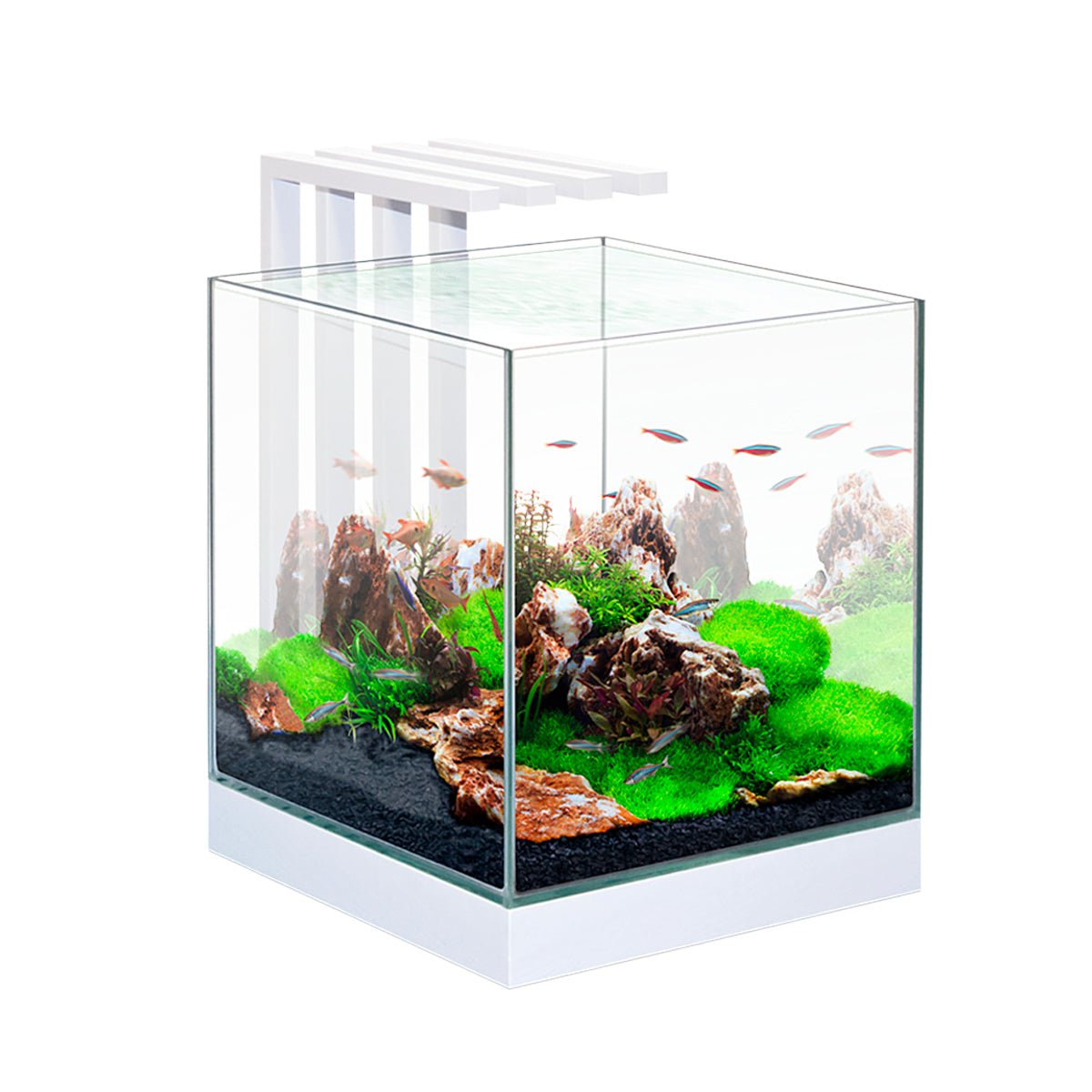 Ciano Aquariums, Fish Tanks & Cabinets – Charterhouse Aquatics