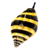 Snails