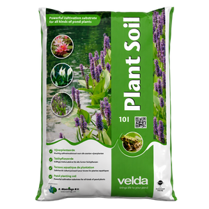 Planting