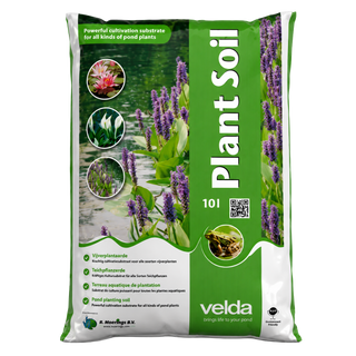 Pond Planting