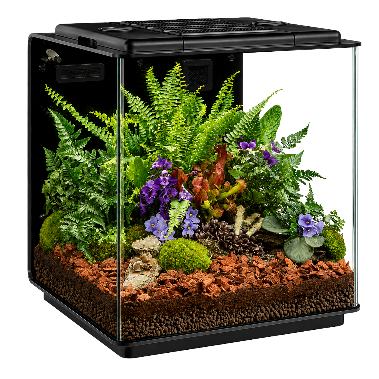 Reptile Housing