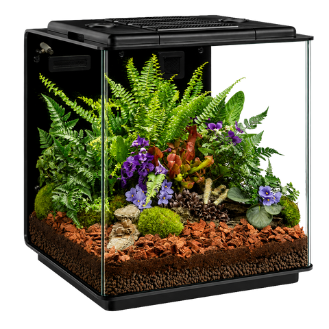 Reptile Housing
