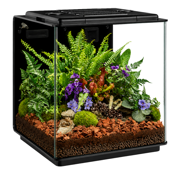 Reptile Housing