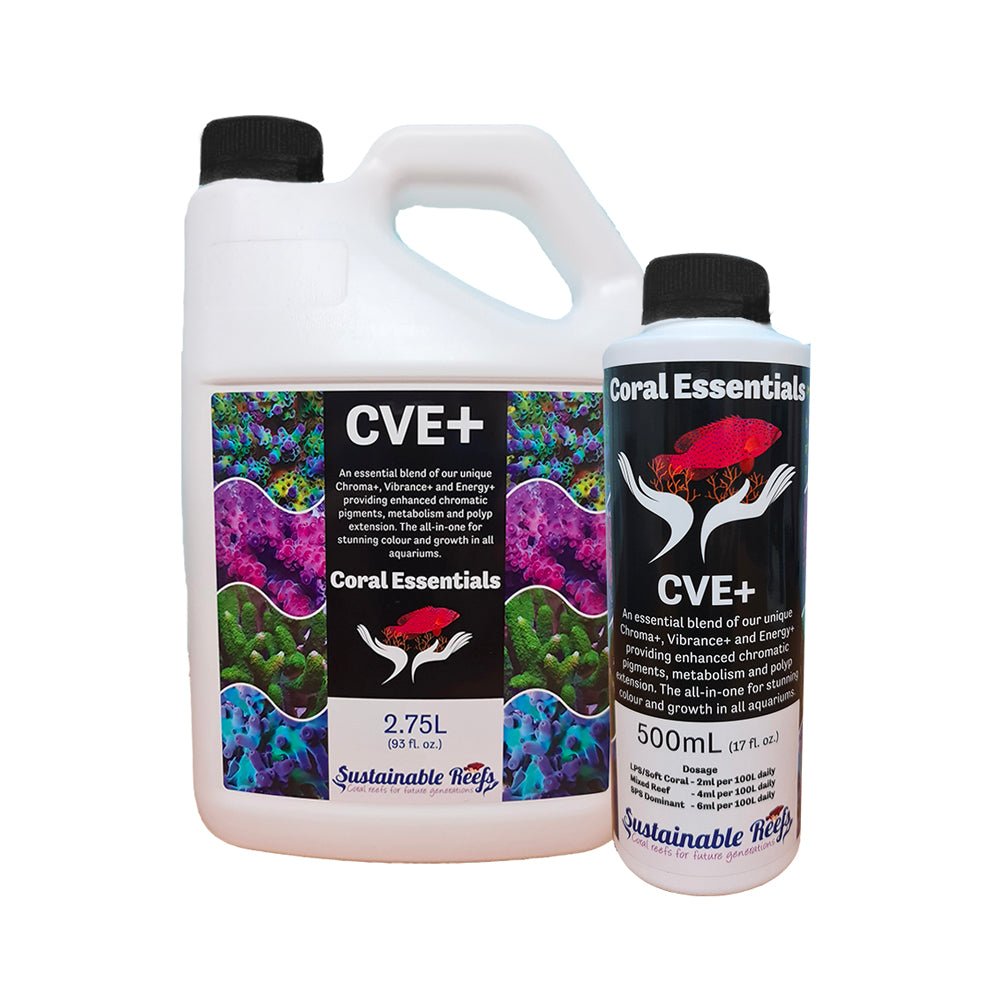 Coral Essentials - Charterhouse Aquatics