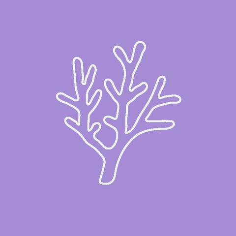 Corals Shop