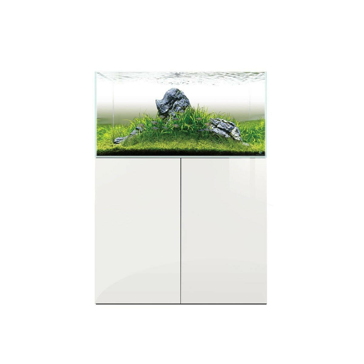 D-D Aqua-Pro Aquascaper