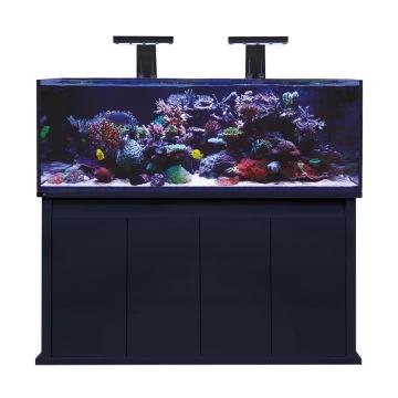 D-D Aquariums - Charterhouse Aquatics