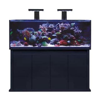D-D Aquariums - Charterhouse Aquatics