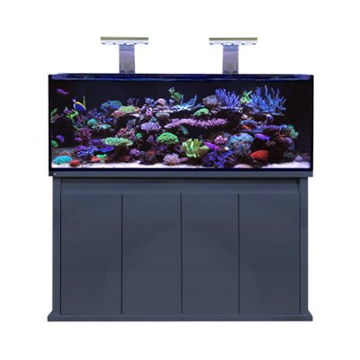 D-D Reef Pro - Charterhouse Aquatics