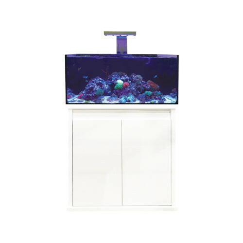 D-D Reef-Pro 900 - Charterhouse Aquatics