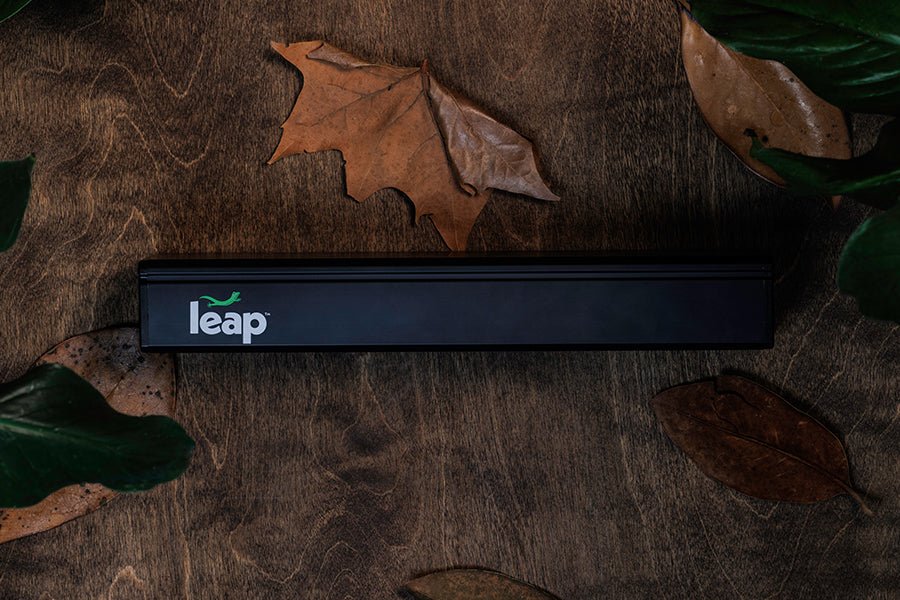 Daylight Lighting - Charterhouse Aquatics