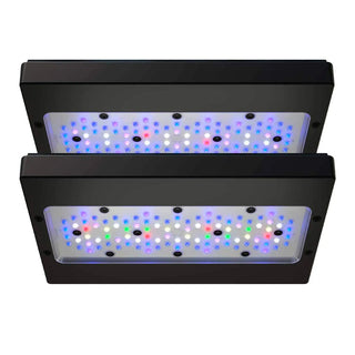 EcoTech Radion - Charterhouse Aquatics