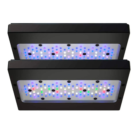 EcoTech Radion - Charterhouse Aquatics