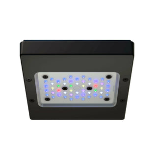 Ecotech Radion G6