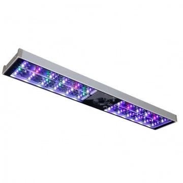 Elos Lighting - Charterhouse Aquatics