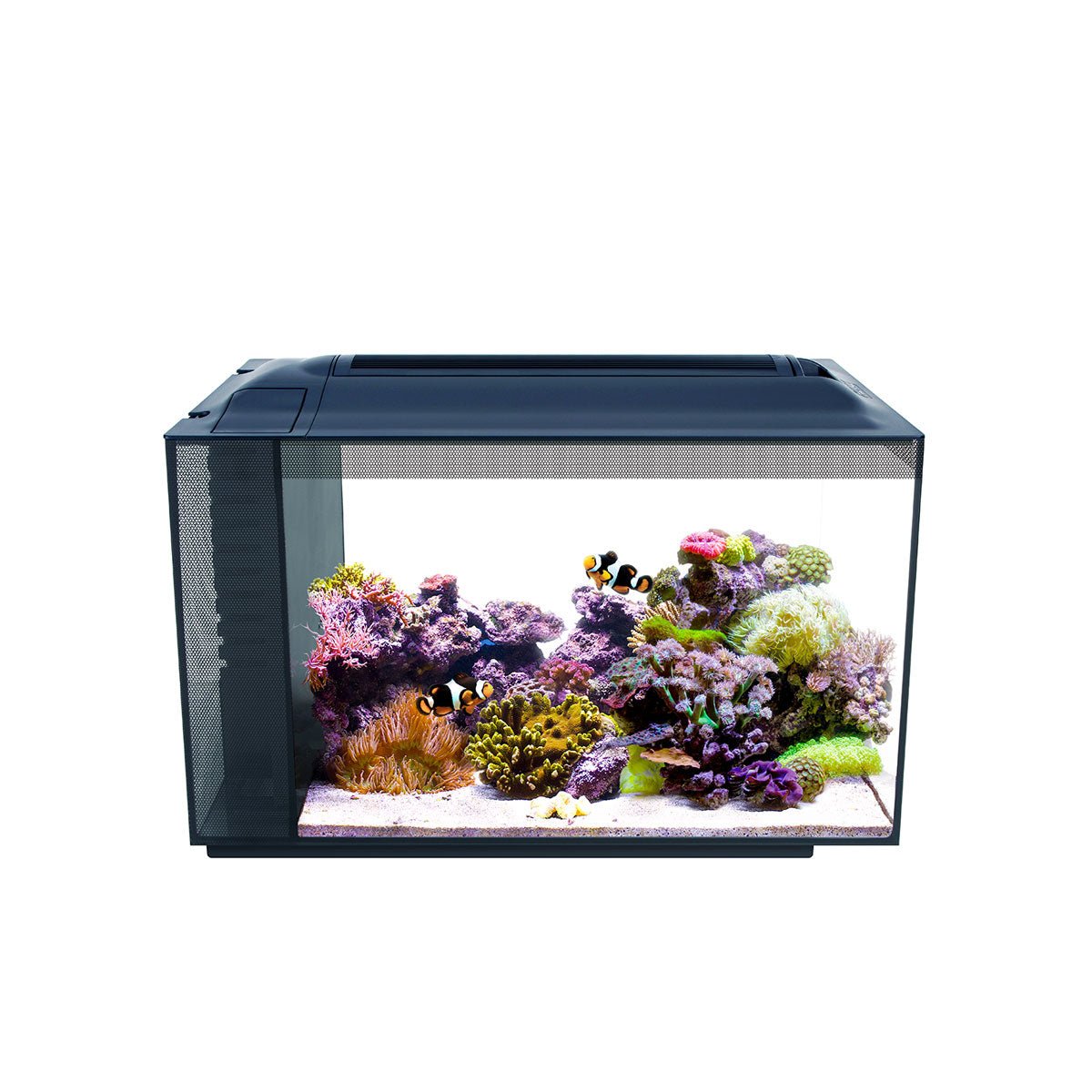 Fluval EVO