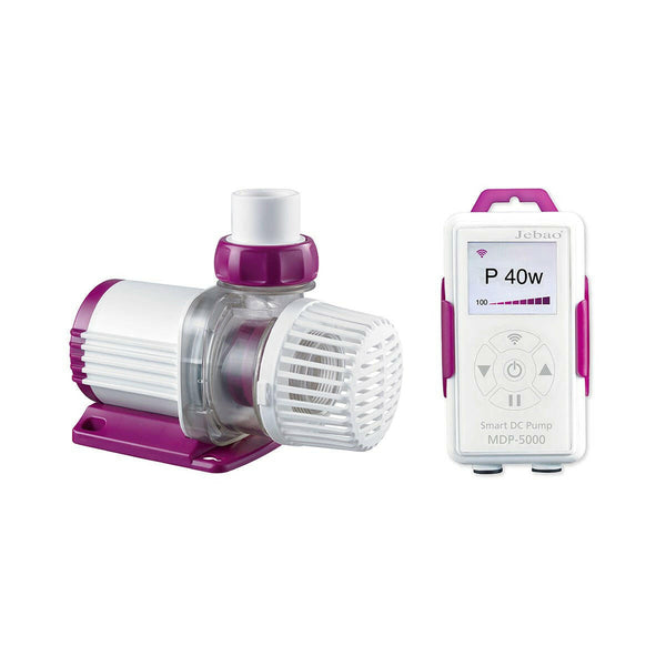 Jecod Pumps