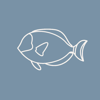 Marine Shop