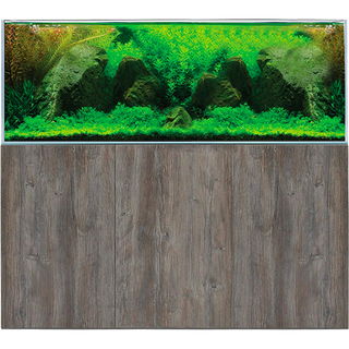 Freshwater Aquariums