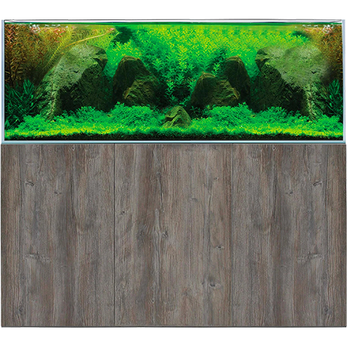 Freshwater Aquariums