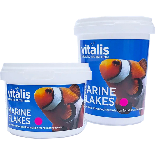 Marine Foods