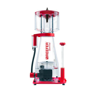 Red Sea Filtration