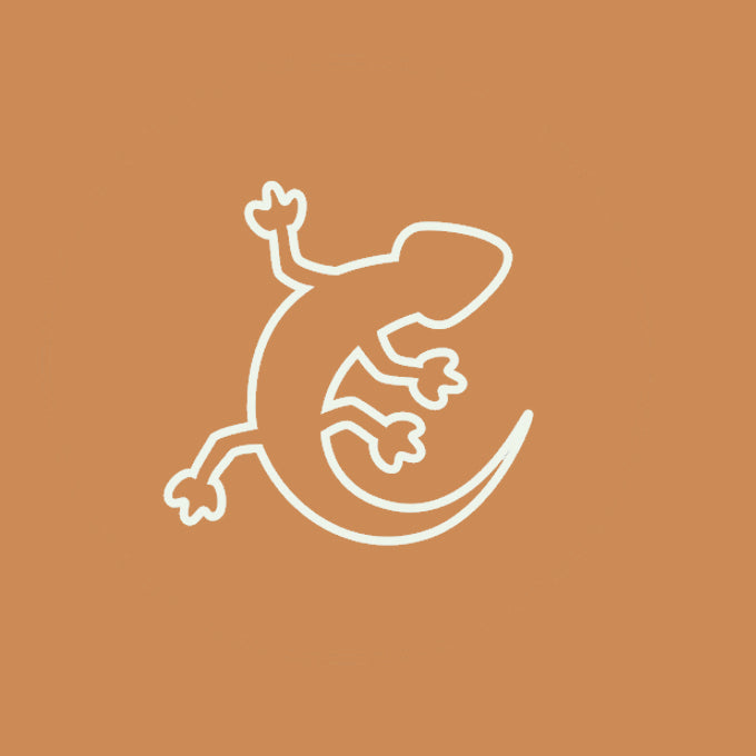 Reptiles Shop
